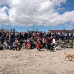 A large group of dog owners gathered at Sandymount Strand with their canine friensd