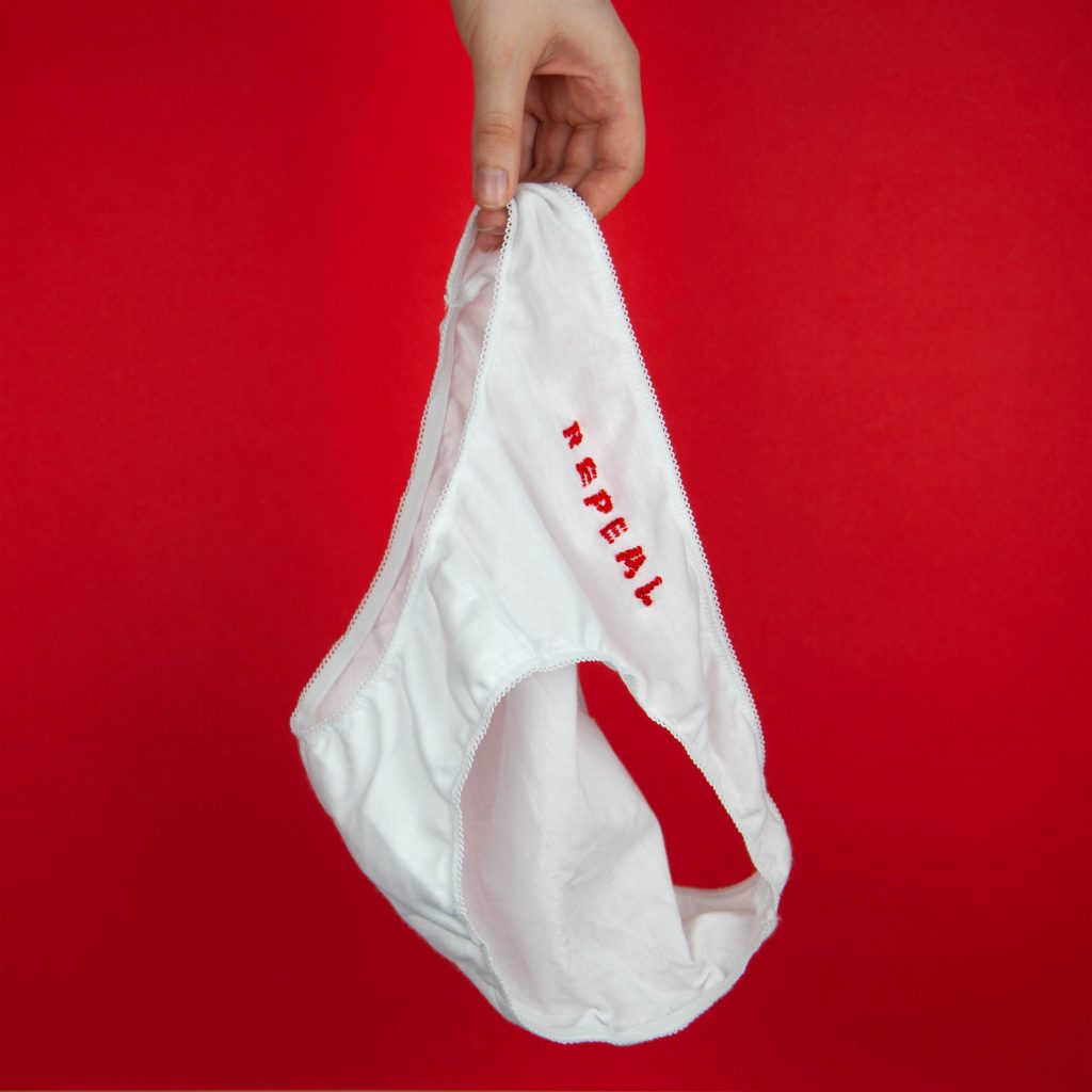 A pair of white underwear with the word "repeal" embroidered on them in red thread. Shown on a red background.