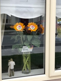 Bunch of orange "Together for Yes" flowers on display in the front window of a house