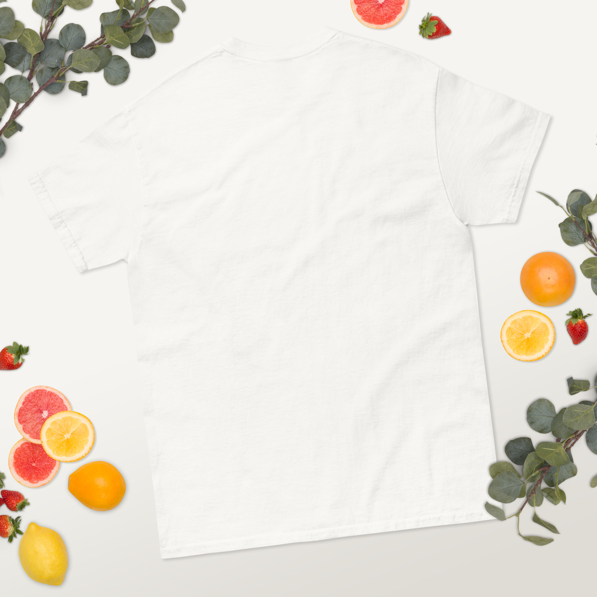 Free Safe Legal Local Accessible (trans pride colours) unisex classic tee - Image 4