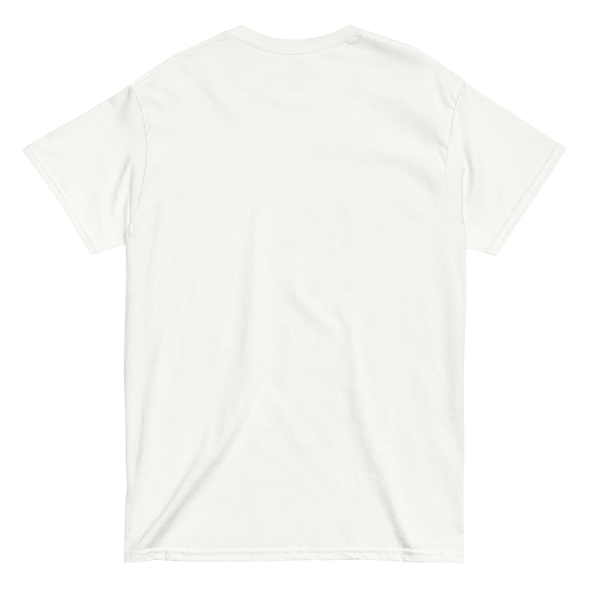 Free Safe Legal Local Accessible (lesbian pride colours) unisex classic tee - Image 2